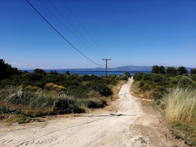 Seagull Villa Chalkidiki Pefkochori Exteriör bild