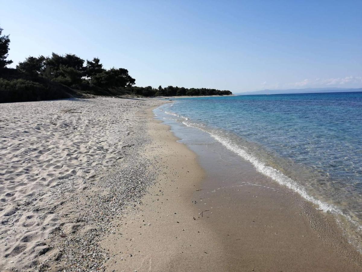 Seagull Villa Chalkidiki Pefkochori Exteriör bild